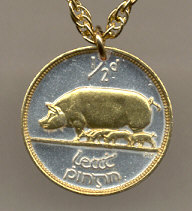 Irish Pig Coin Necklace